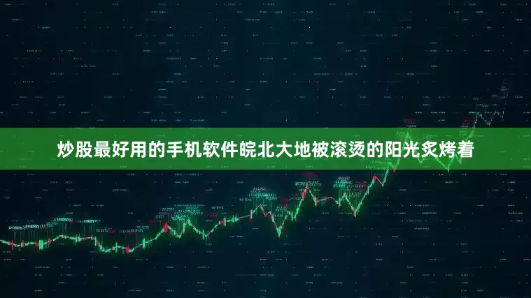 炒股最好用的手机软件皖北大地被滚烫的阳光炙烤着